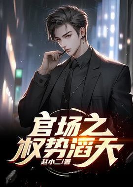 官途：权势滔天小说阅读