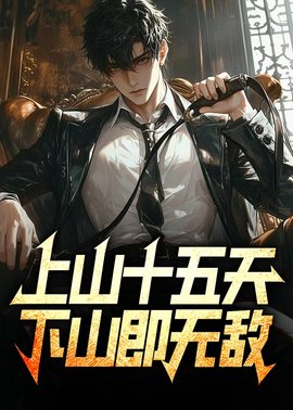 上山十五天，下山既无敌小说阅读