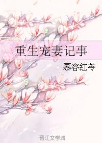 重生宠妻记事