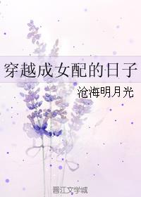 穿越成女配的日子