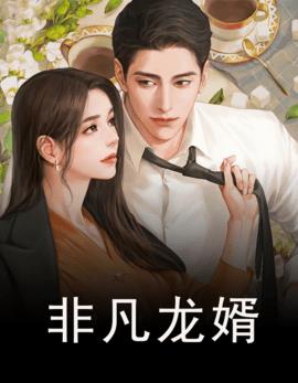非凡龙婿小说阅读