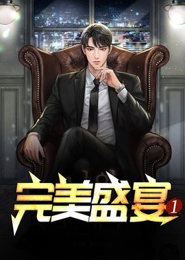 完美盛会小说阅读