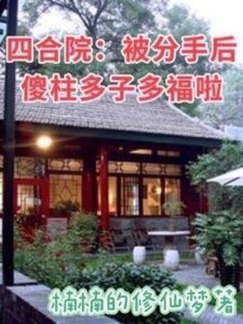 四合院：被分手后傻柱多子多福啦小说阅读