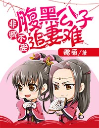 非卿不娶，腹黑公子追妻难小说阅读