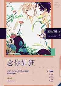 念你如狂小说阅读
