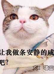 让我做条安静的咸鱼吧