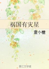 祸国有灾星小说阅读