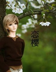 恋樱