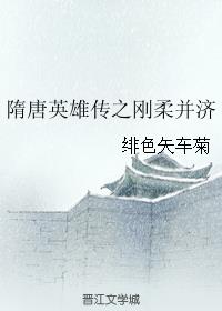 隋唐英雄传之刚柔并济