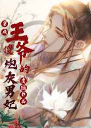穿成傻王爷的炮灰男妃