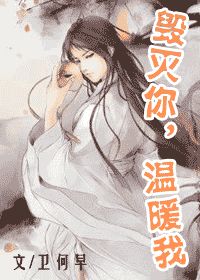 毁灭你，温暖我小说阅读
