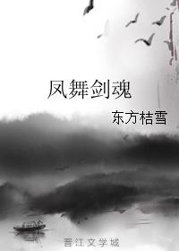 凤舞剑魂