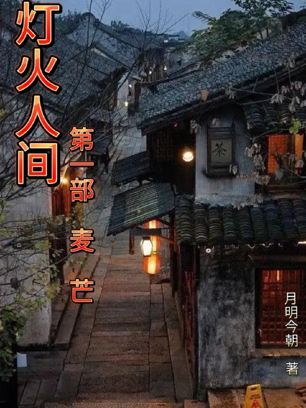 灯火人间第一部麦芒小说阅读