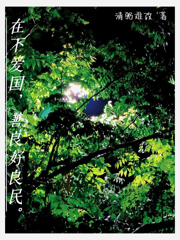 在下爱国善良好良民小说阅读