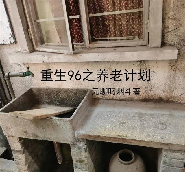 重生96之养老计划小说阅读