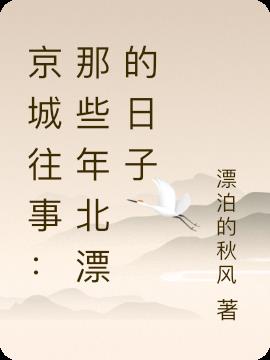 京城往事：那些年北漂的日子小说阅读