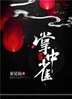 掌中雀（完结）小说阅读