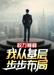 精彩小说网 权力巅峰:我从基层步步布局阅读
