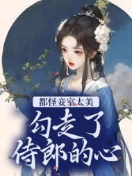 魏铮宁兰小说阅读