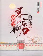 穿越之养家糊口的方法论