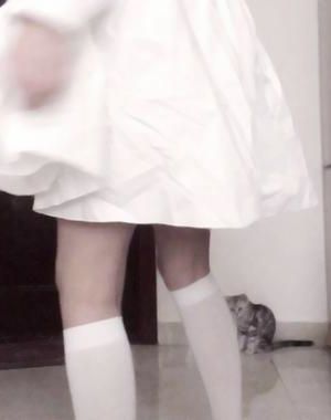 《把箭放下》作者：入眠酒