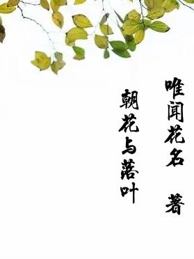 朝花与落叶小说阅读