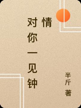 对你一见钟情小说阅读