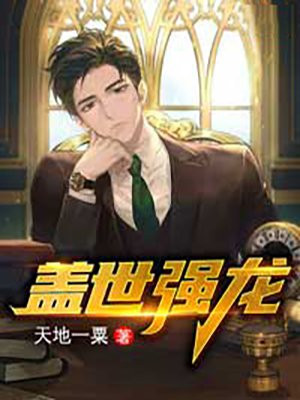 盖世强龙小说阅读