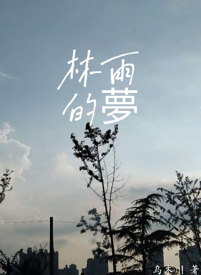 林雨的梦小说阅读