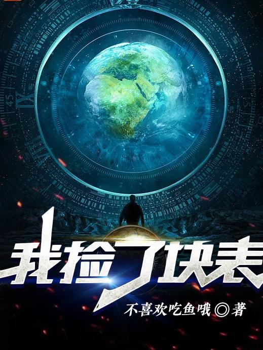 我捡了块表小说阅读