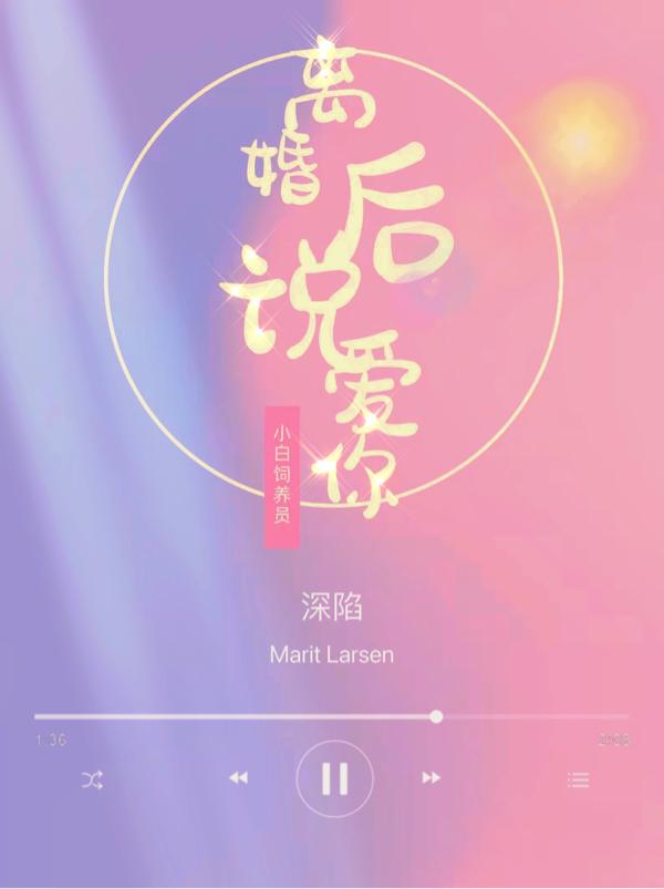 深陷：离婚后说爱你小说阅读