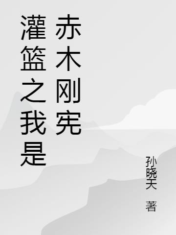 灌篮之我是赤木刚宪小说阅读