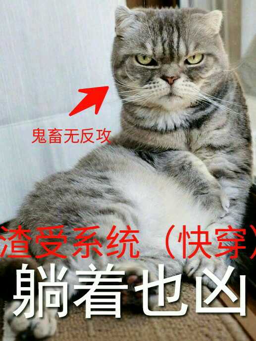渣受系统[快穿]