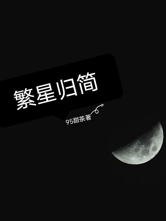 繁星归简小说阅读