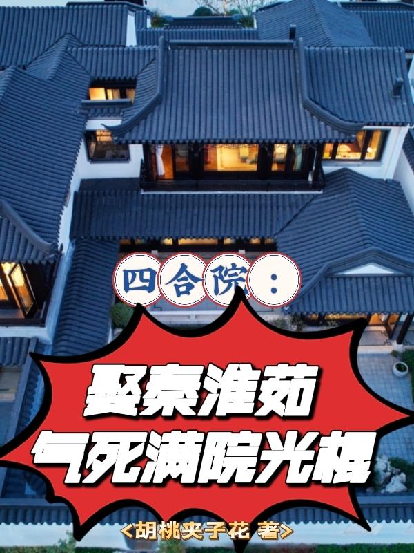 四合院：娶秦淮茹，气死满院光棍小说阅读