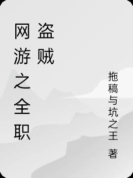 网游之全职盗贼小说阅读