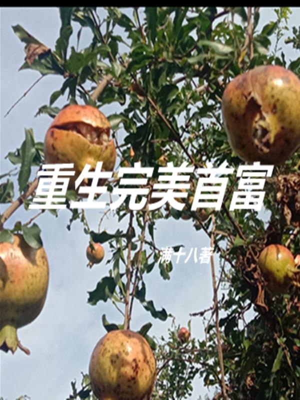重生完美首富小说阅读
