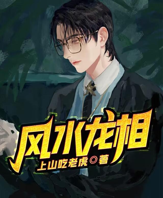 风水龙相小说阅读