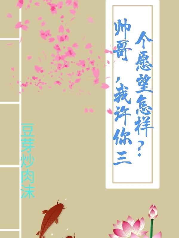 帅哥，我许你三个愿望咋样？小说阅读