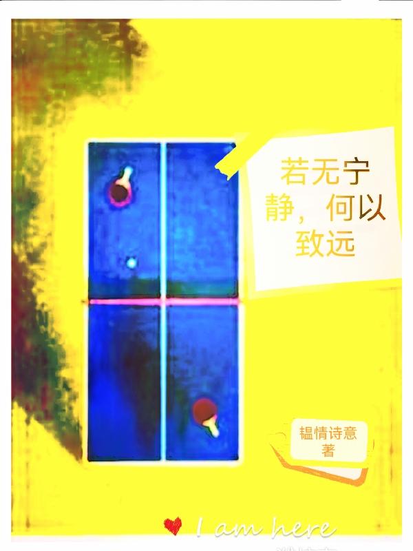 若无宁静，何以致远小说阅读