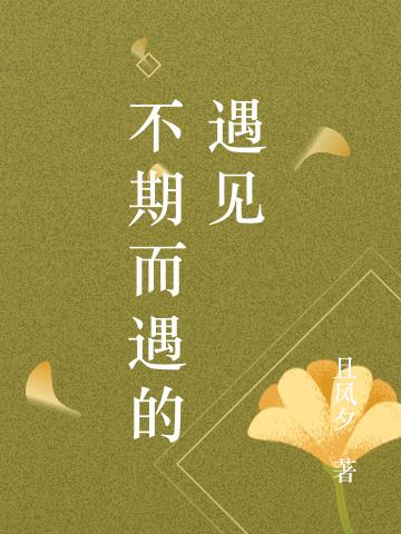 不期而遇的遇见小说阅读