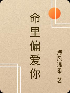 命里偏爱你小说阅读