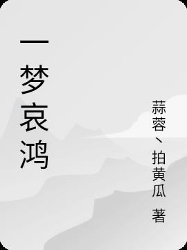 一梦哀鸿小说阅读