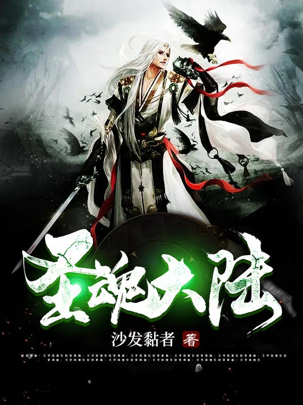 圣魂大陆小说阅读