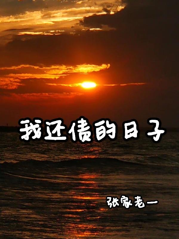 我还债的日子小说阅读