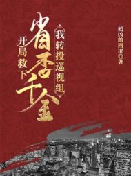 开局救下省委千金，我转投巡视组夏风