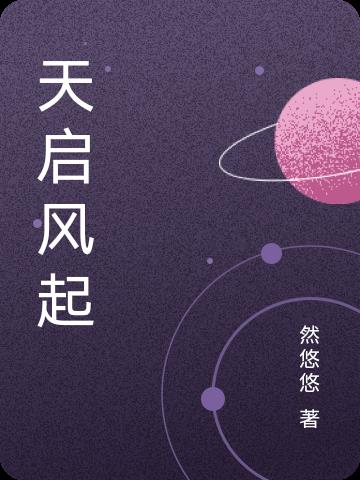 天启风起小说阅读