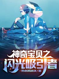 神奇宝贝：闪光吸引者小说阅读