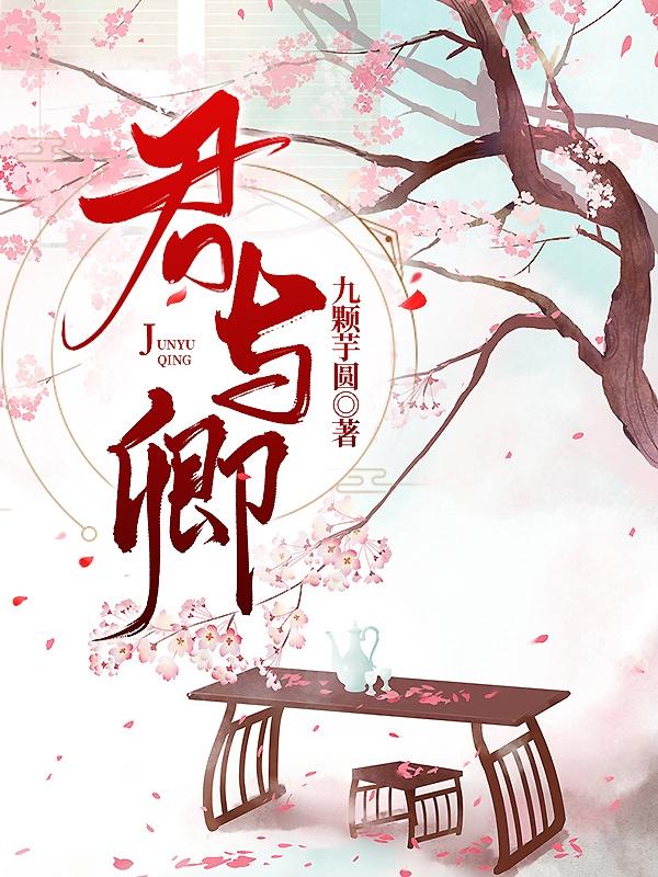 君与卿小说阅读