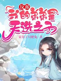反派：我的弟弟是天选之子小说阅读